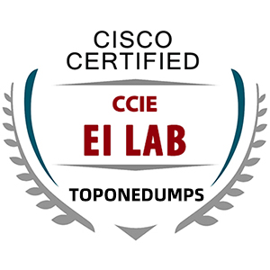 ccie v5 lab diagram