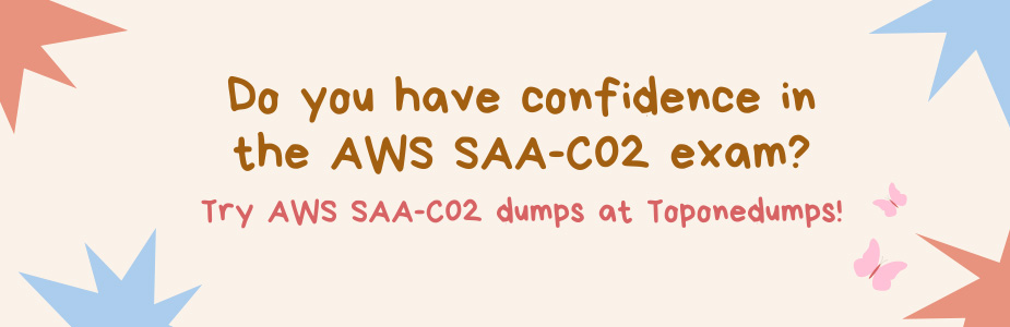 Do you have confidence in the AWS SAA-C02 exam? Try AWS SAA-C02 dumps at Toponedumps!