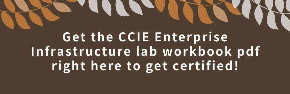 Get the CCIE Enterprise Infrastructure lab workbook pdf right here to get certified!