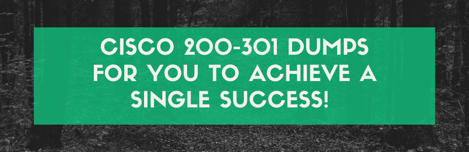 Cisco 200-301 dumps for you to achieve a single success! 